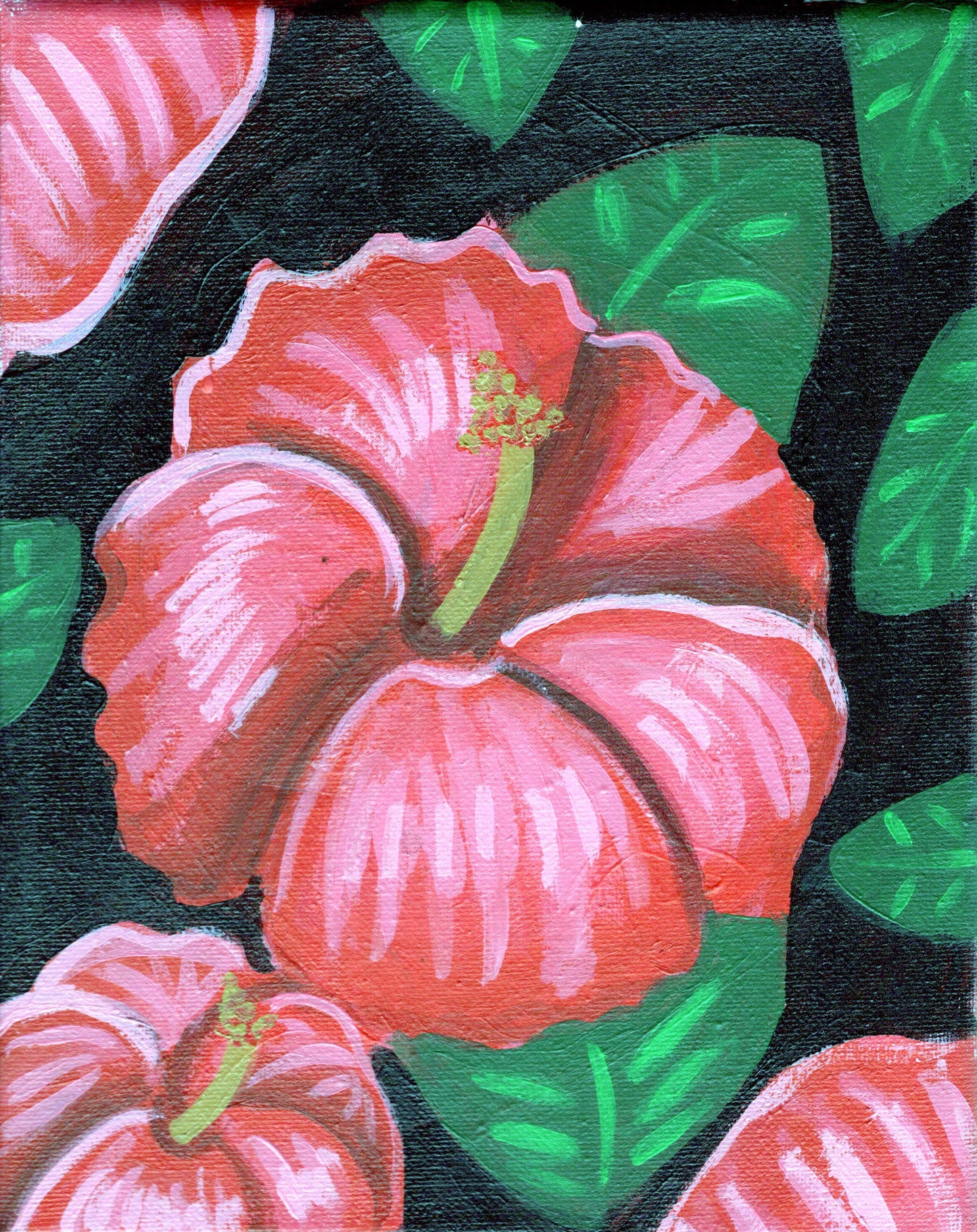 Hibiscus Collection