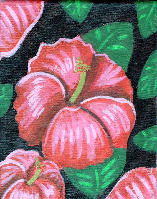 Hibiscus Collection